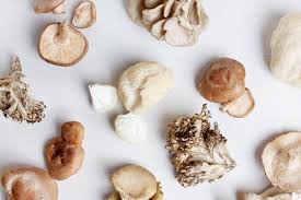 Mushroom Box