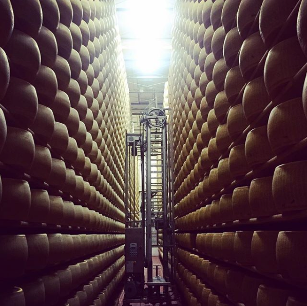 Cheese School - Parmigiano Reggiano