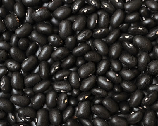 Organic Black Turtle Soup Beans - 1.5 Lb bag