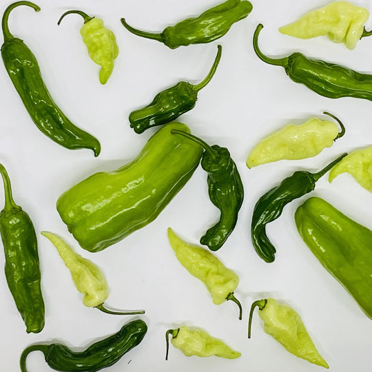 Shishito Peppers - Organic - 1 Quart