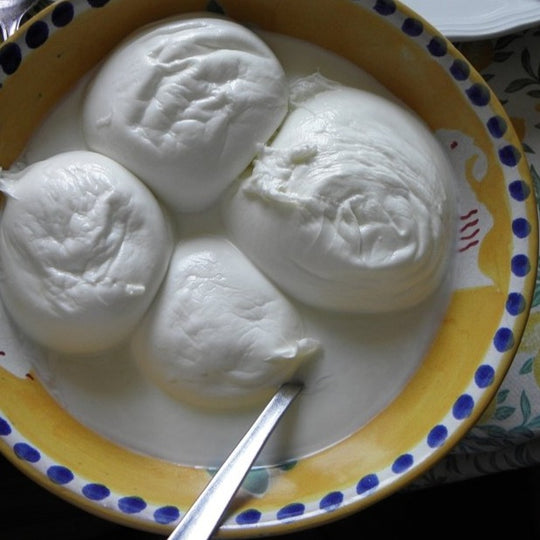 Mozzarella di Bufala